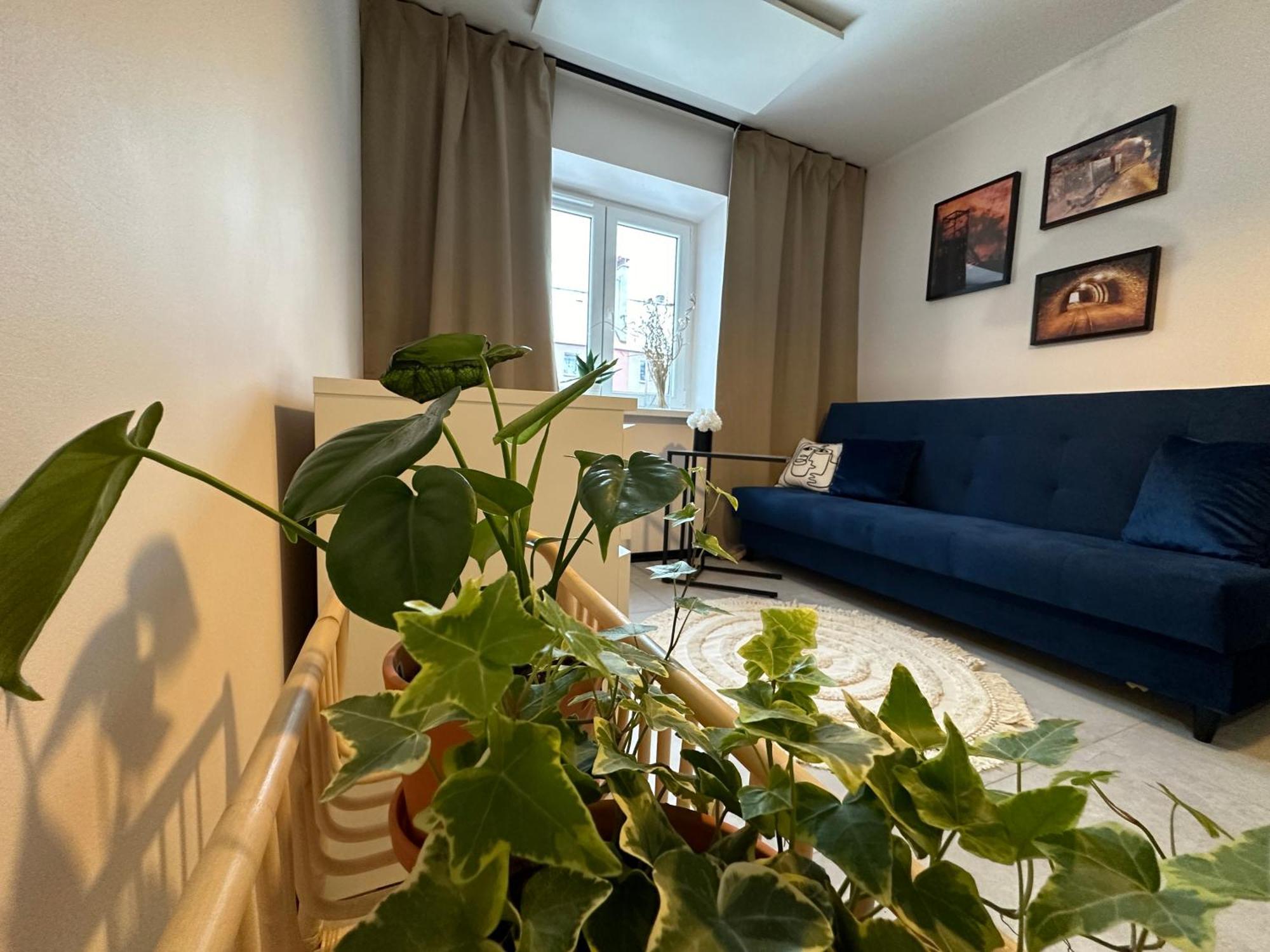 Apartment Kopalniok